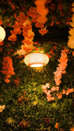 WhatsApp Image 2025-07-30 at 10.31.49 AM